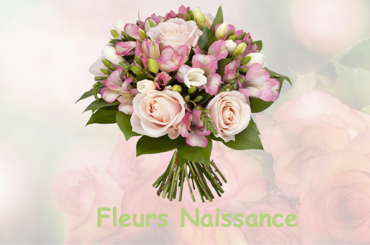 fleurs naissance RIMBEZ-ET-BAUDIETS